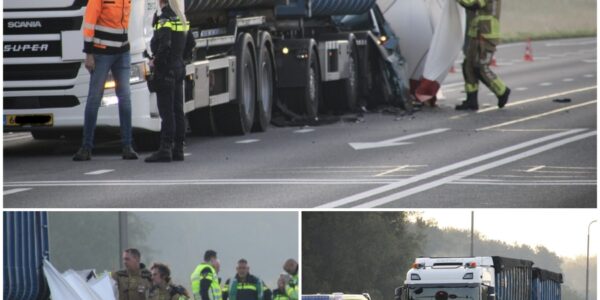 Dodelijk ongeval op N302 bij Lelystad: bestuurder overleden na frontale botsing met vrachtwagen