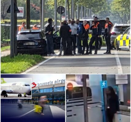 Vrouw opgepakt in Merksplas na bommelding op vliegtuig op Brussels Airport