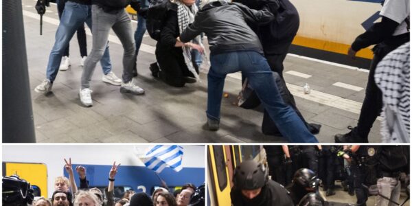 Meer dan 200 pro-Palestijnse betogers opgepakt bij Den Haag Centraal