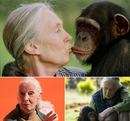 Bekende Britse chimpansee-onderzoeker Jane Goodall (91) overleden