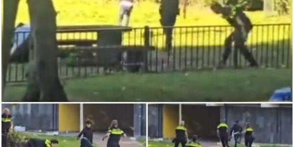 Vier politieagenten moesten worden ingezet om een jongeman die overlast veroorzaakte in de Bijlmer te achtervolgen en aan te houden. Geen "gemakkelijke" klus…