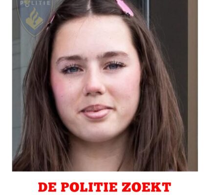 VERMIST: Tienermeisje (15) vermist na vertrek bij Heemraadsingel in Rotterdam-West