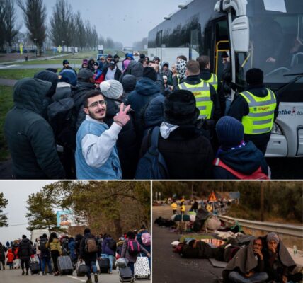 Deze gemeente in Nederland weigert 635 asielzoekers: “Geen ruimte meer”