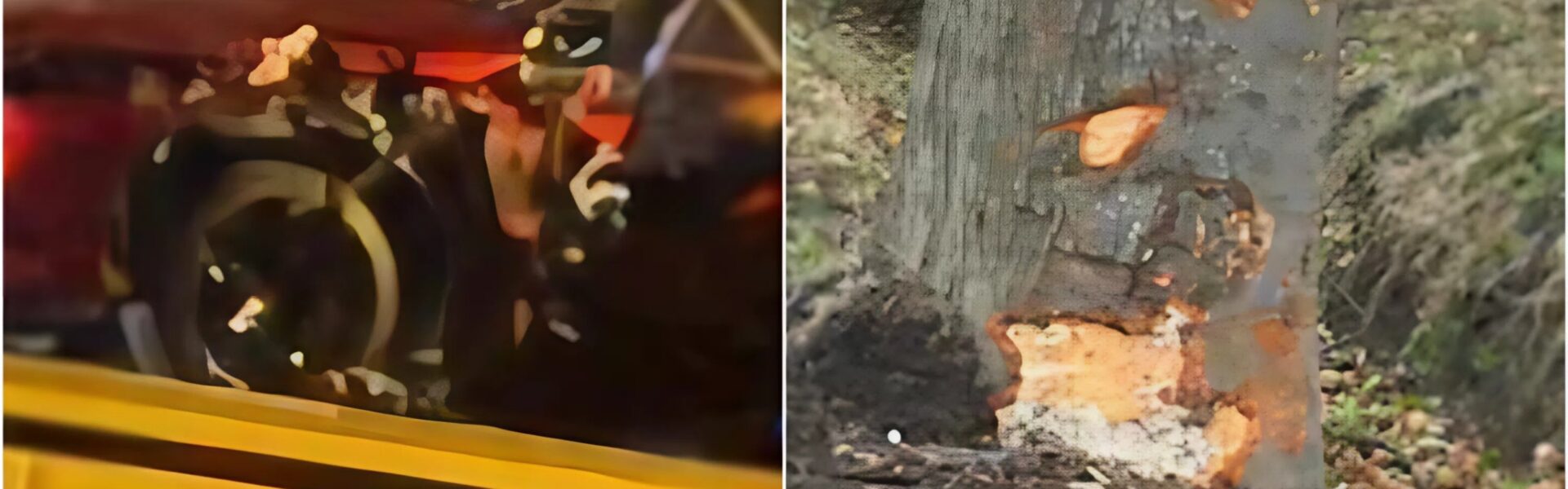 Drie jongeren komen om bij zwaar verkeersongeval in Evergem: terugweg van trouwfeest eindigt in tragedie