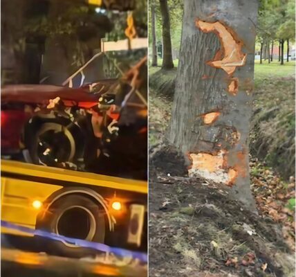 Drie jongeren komen om bij zwaar verkeersongeval in Evergem: terugweg van trouwfeest eindigt in tragedie