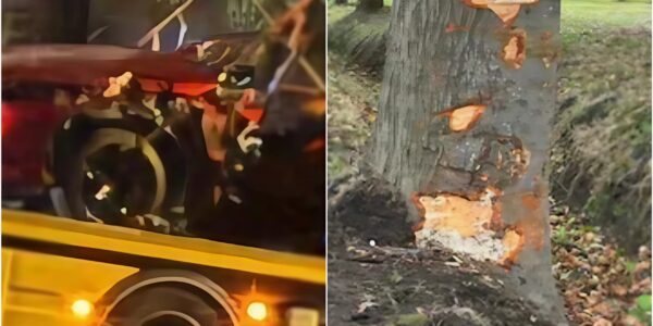 Drie jongeren komen om bij zwaar verkeersongeval in Evergem: terugweg van trouwfeest eindigt in tragedie