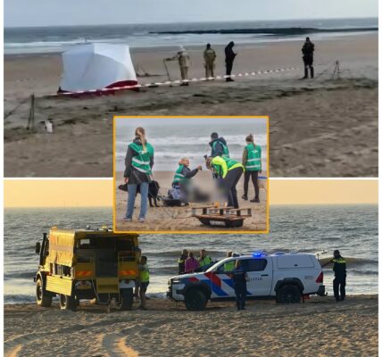 Mysterie op het strand van Bredene: levenloze vrouw aangespoeld – parket onderzoekt omstandigheden