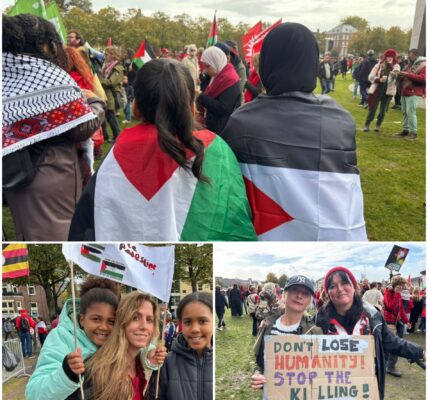 Zij waren bij het massale Rode Lijn-protest: 'Dit kan niet langer doorgaan'