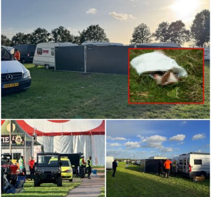 Lichaam van vrouw gevonden op camping Festyland.