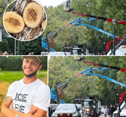 Boomverzorger Gijs (29) krijgt afscheid met erehaag van hoogwerkers: ‘Hij stierf in het harnas’