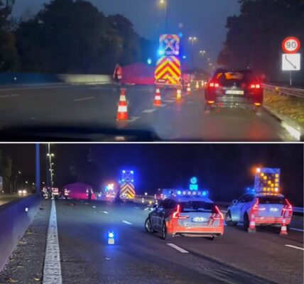 Motorrijder (50) uit Aalst komt om op E40 in Ternat: vluchtende bestuurder opgepakt en test positief op cannabis