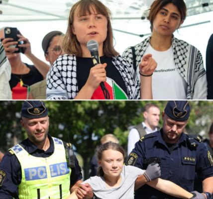 Schokkende details over Greta Thunberg lekken uit na aanhouding