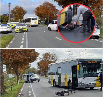 Aanrijding tussen bus van De Lijn en fietser: zeventiger overleden aan verwondingen in ziekenhuis