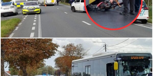 Aanrijding tussen bus van De Lijn en fietser: zeventiger overleden aan verwondingen in ziekenhuis