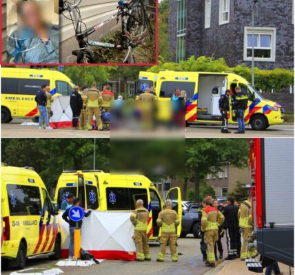 Van bus continues after collision in Nederweert: cyclist left seriously injured.