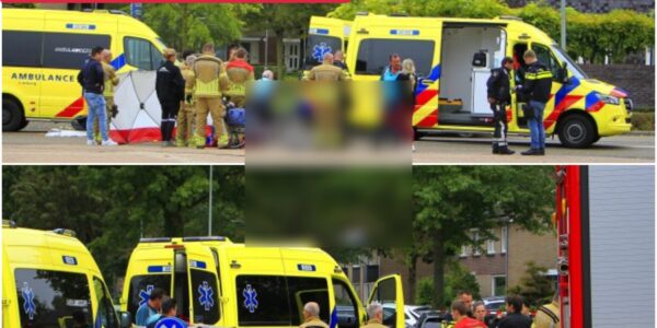 Van bus continues after collision in Nederweert: cyclist left seriously injured.