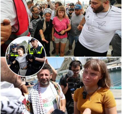 Schokkende details over Greta Thunberg lekken uit na aanhouding