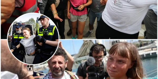 Schokkende details over Greta Thunberg lekken uit na aanhouding