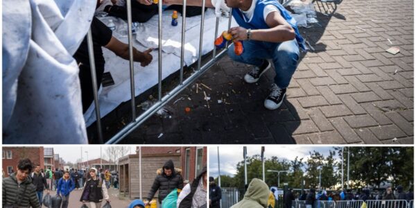 Paniek in Ter Apel: honderden asielzoekers in allerijl overgebracht naar andere opvanglocaties