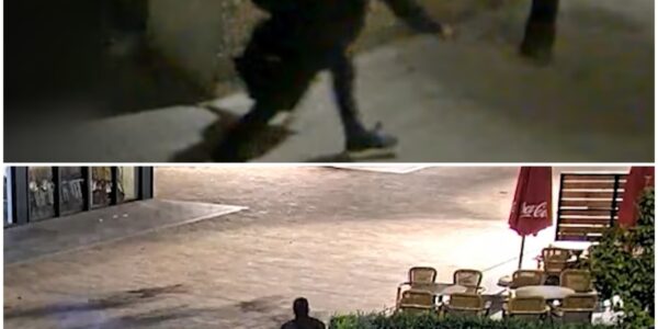 Man breekt in bij studentenhuis in Tilburg, vertrekt na half uur rustig met buit via voordeur